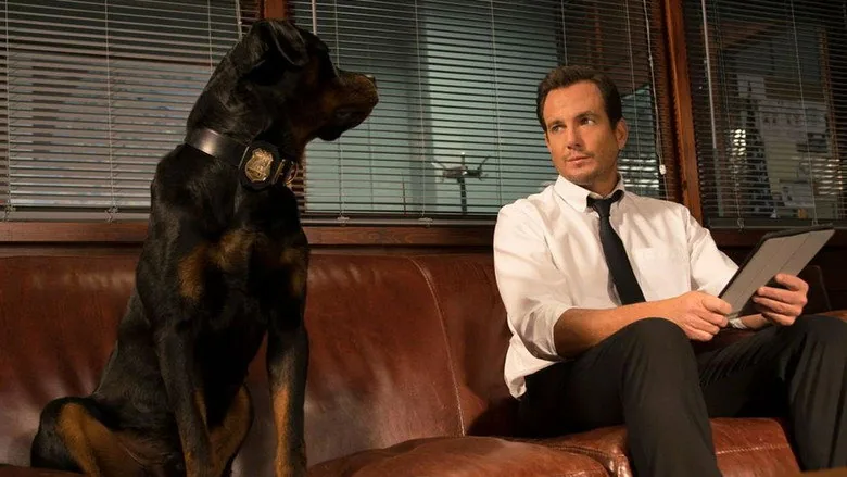 Gösteri Köpekleri sahne 5