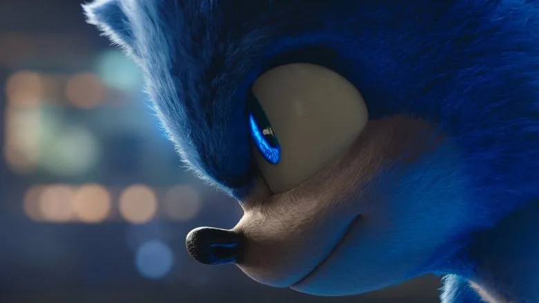 Kirpi Sonic sahne 5