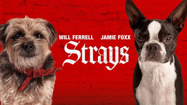 Strays sahne 2