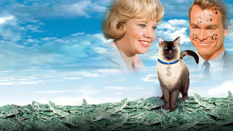 O İllet Kedi sahne 6