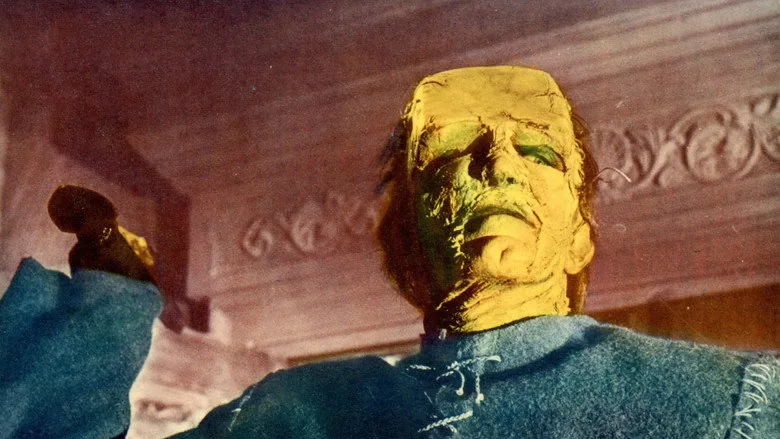 Frankenstein'ın Şeytanı sahne 5