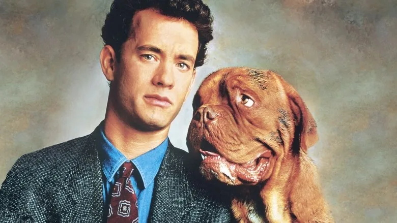 Dikkat Köpek Var sahne 2