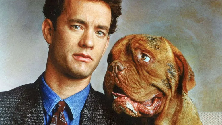 Dikkat Köpek Var sahne 3