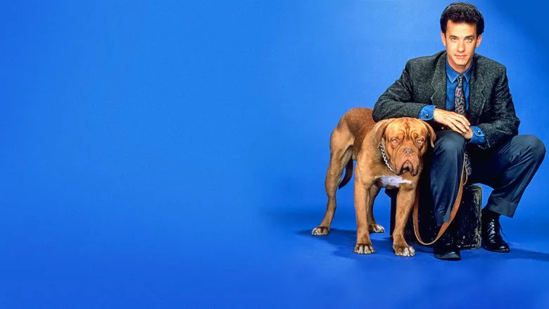 Dikkat Köpek Var sahne 5
