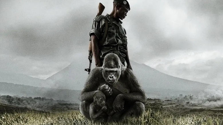 Virunga sahne 2