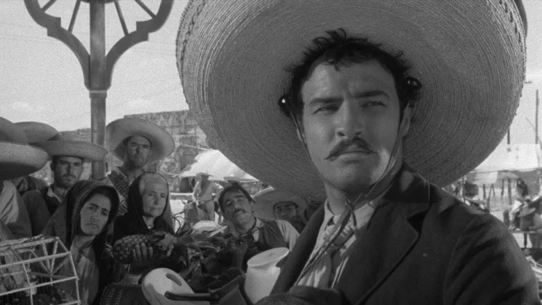 Viva Zapata! sahne 6
