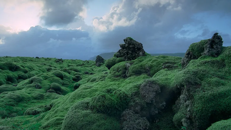 Zamanın Yolculugu: Bir IMAX Belgeseli sahne 1