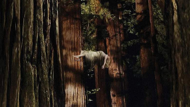 Woodshock sahne 1