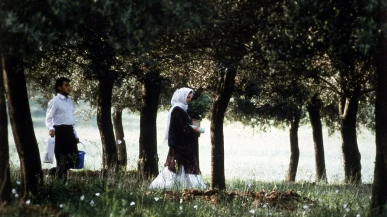 Zeytin Ağaçları Altında sahne 3